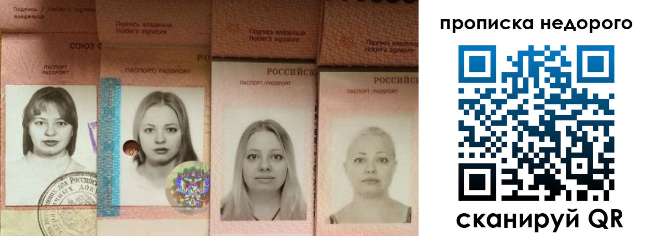 прописка в Зернограде