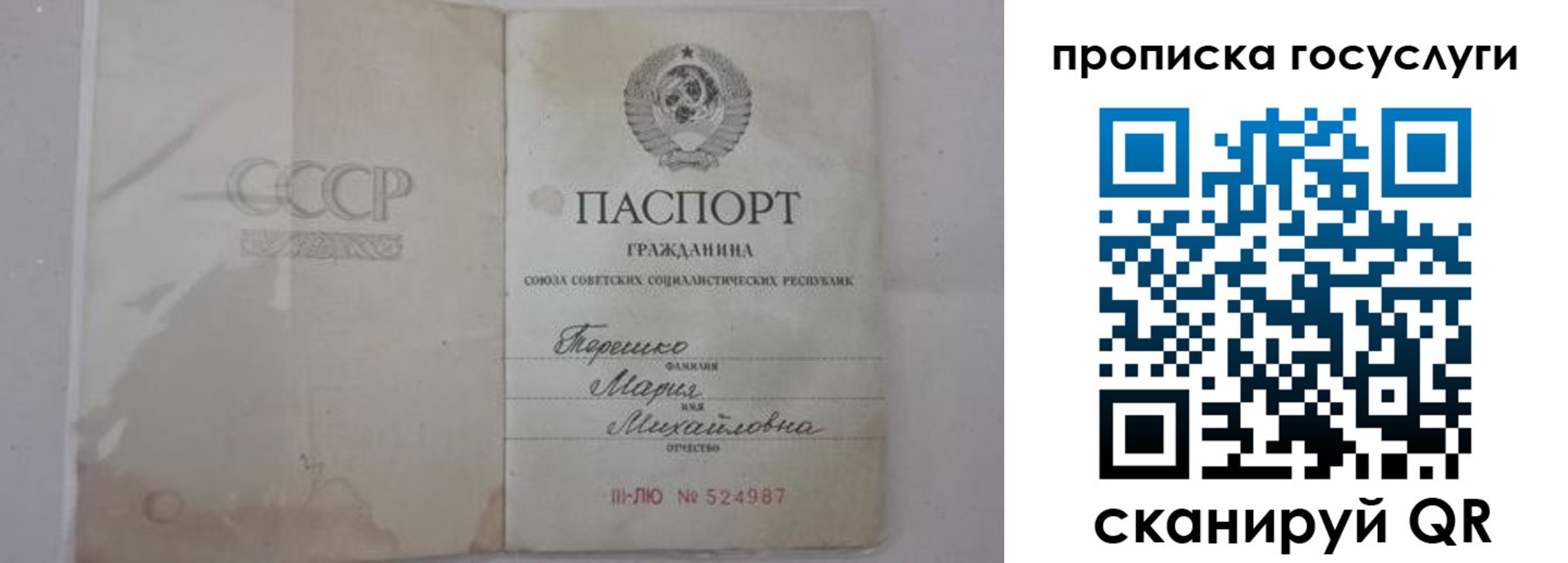 прописка ребенка в Зернограде